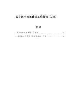 数字政府改革建设工作报告（2篇）.docx