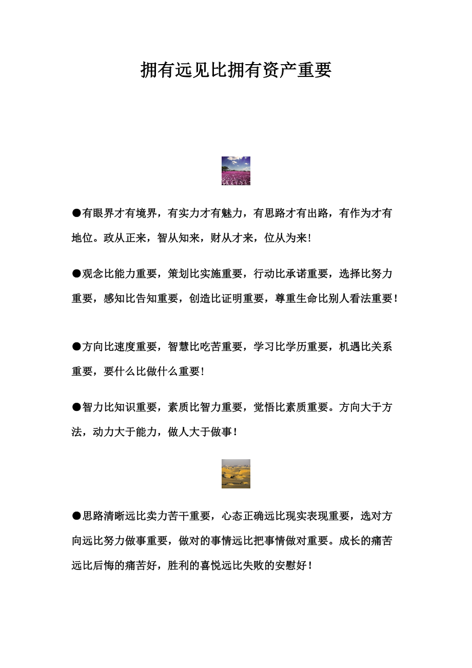 拥有远见比拥有资产重要.docx_第1页