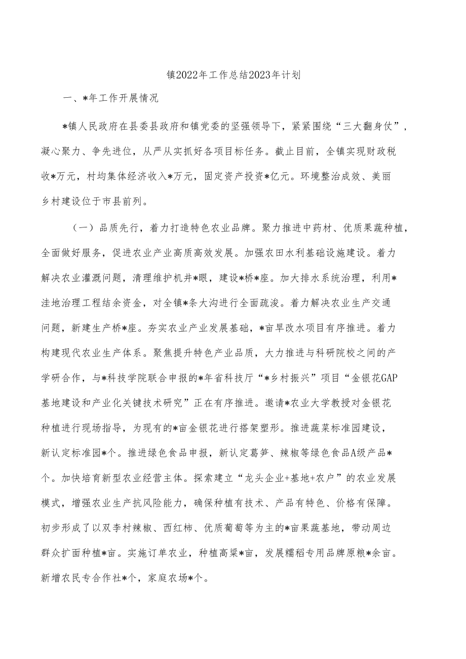 镇2022年工作总结2023年计划.docx_第1页