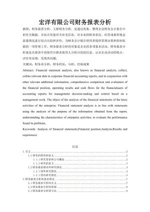 宏洋有限公司财务报表分析.docx