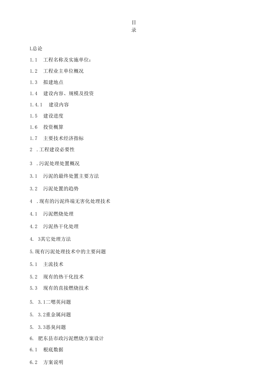 肥东政污泥焚烧项目建议书1.docx_第2页