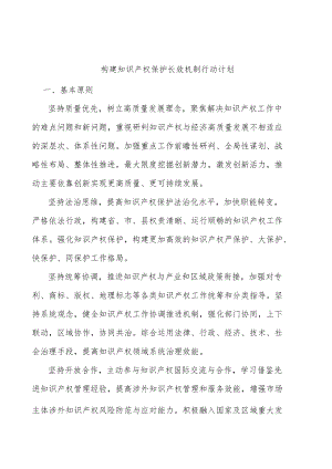 构建知识产权保护长效机制行动计划.docx