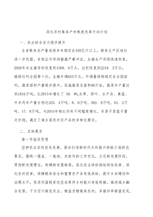 深化农村集体产权制度改革行动计划.docx