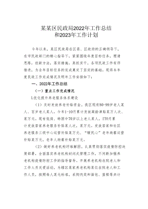 某某区民政局2022年工作总结和2023年工作计划.docx