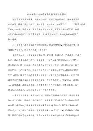 自我革命推进作风革命效能革命经验做法.docx