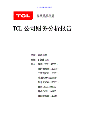 TCL公司财务分析报告111.docx