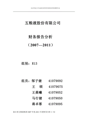 五粮液集团财务报告及管理知识分析.docx