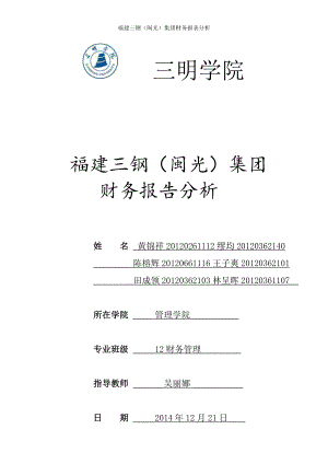 X年福建三钢(闽光)集团财务效率分析.docx