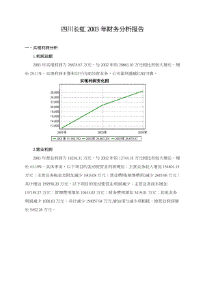 四川长虹某年财务分析报告.docx