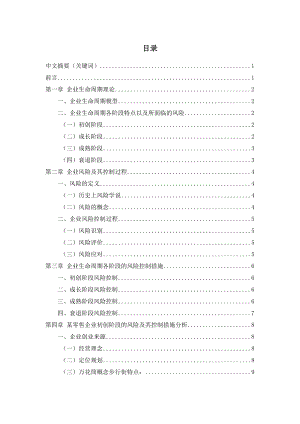 企业生命周期各阶段的风险及其控制.docx