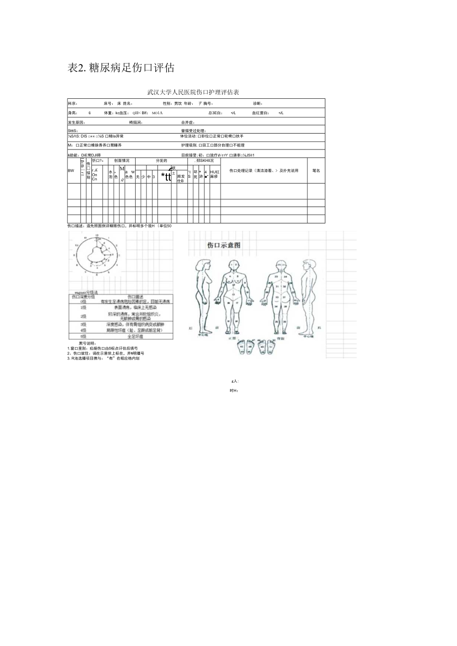 糖尿病足量表.docx_第2页