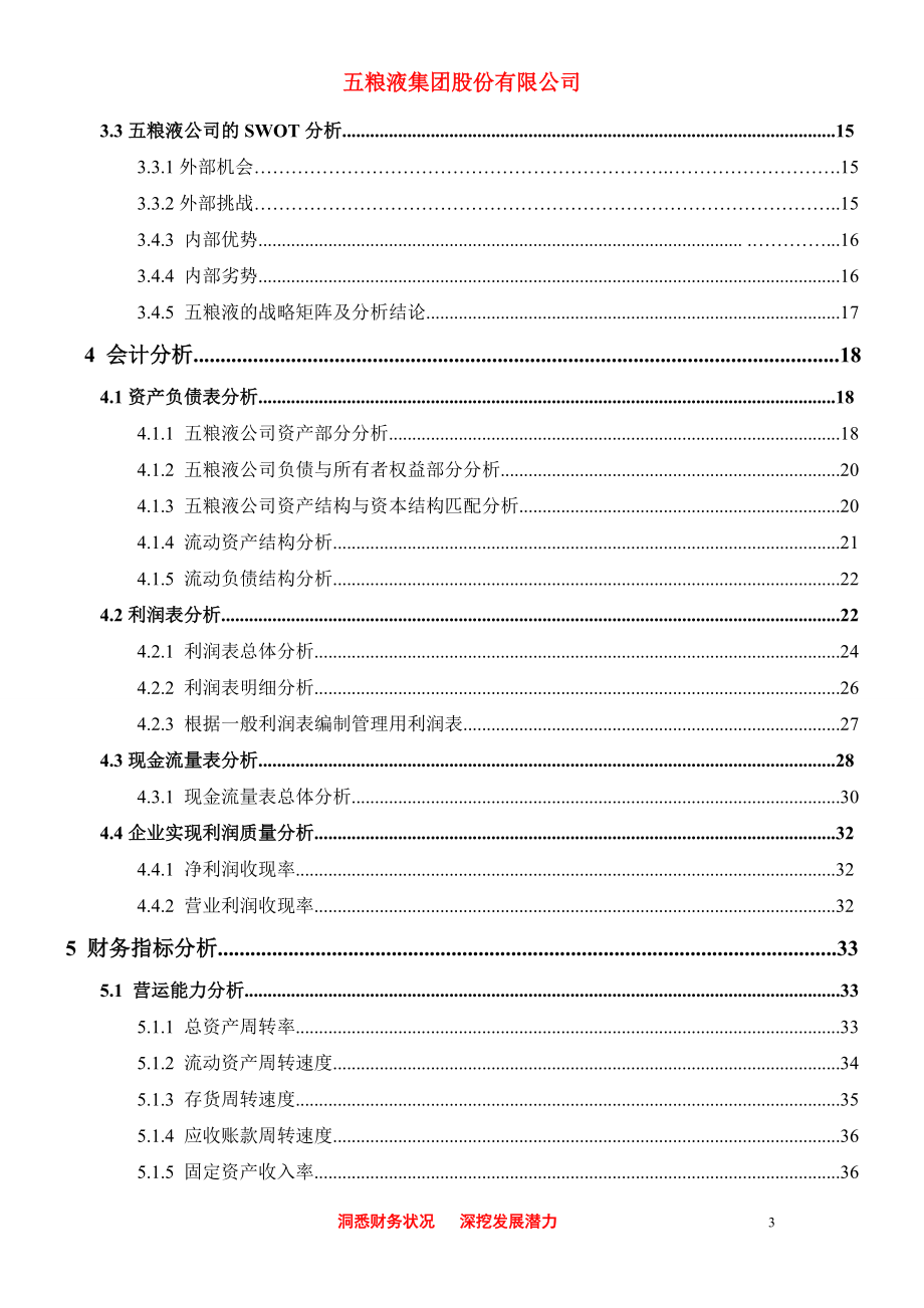五粮液集团有限公司财务综合分析报告书.docx_第3页