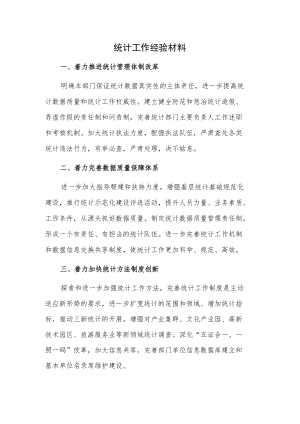 统计工作经验材料.docx