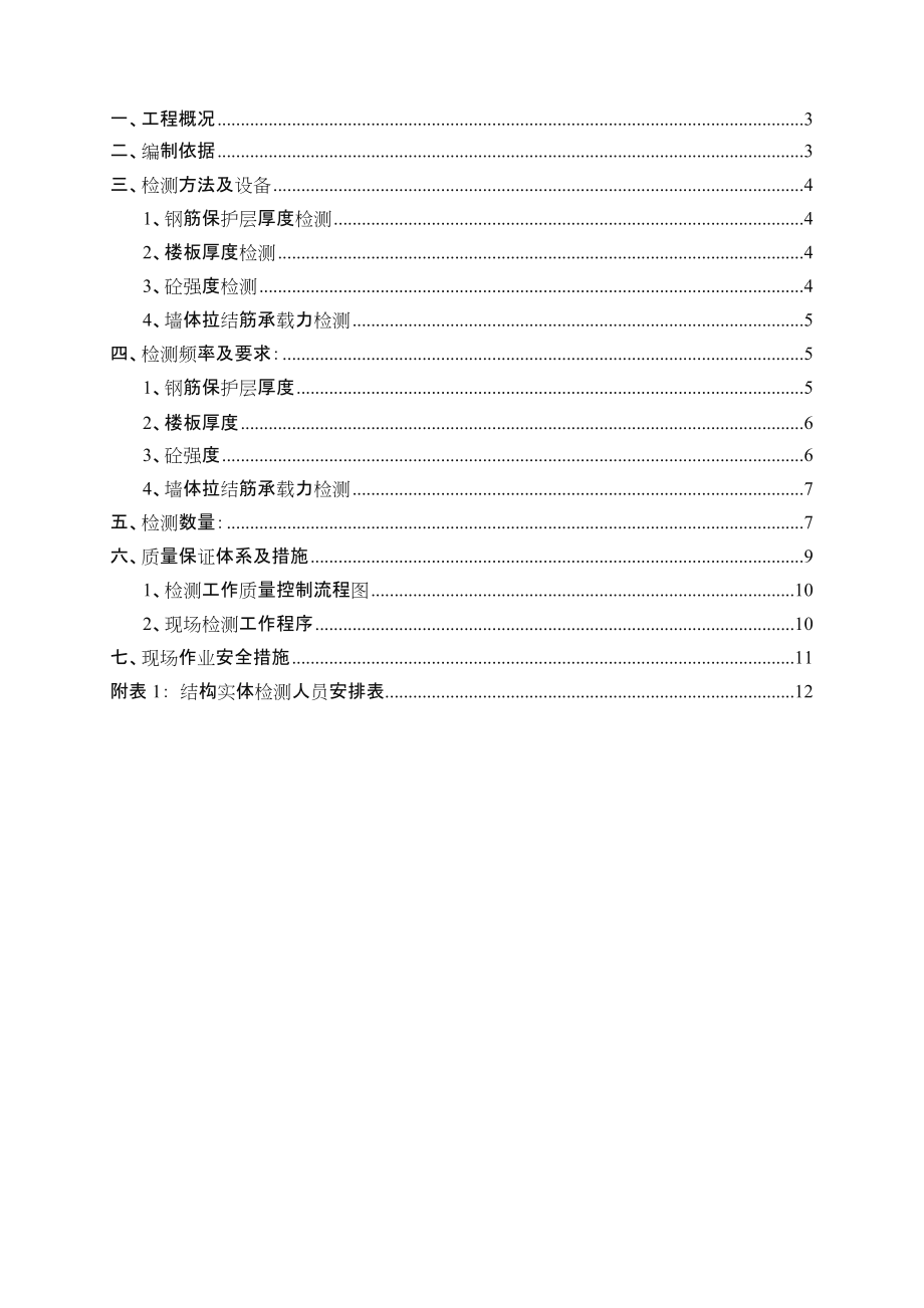 主体结构实体检测方案.doc_第2页