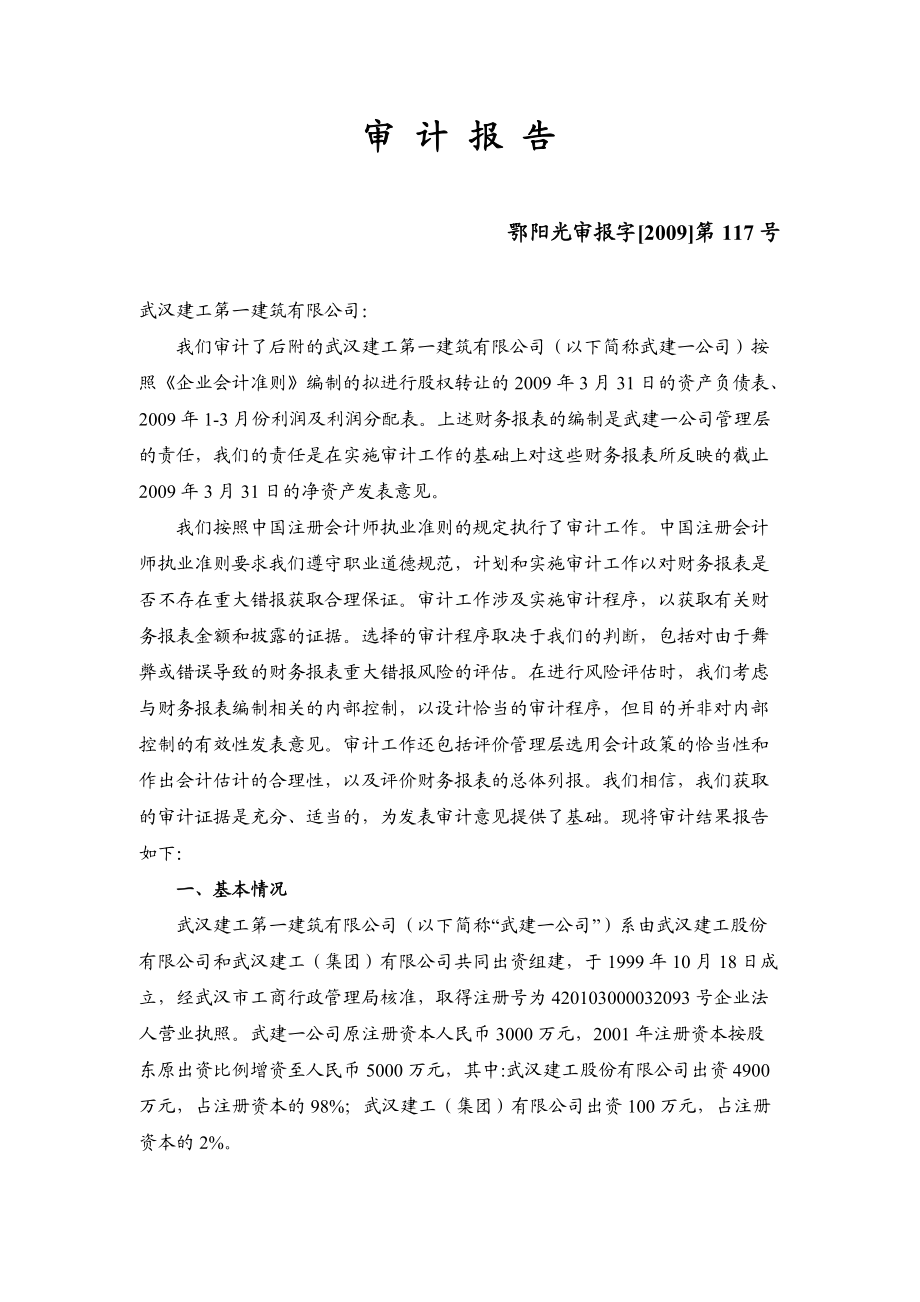 武汉某公司审计报告.docx_第1页