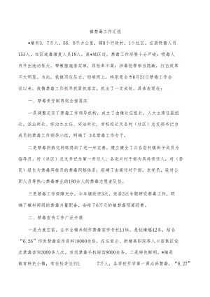 镇禁毒工作汇报.docx