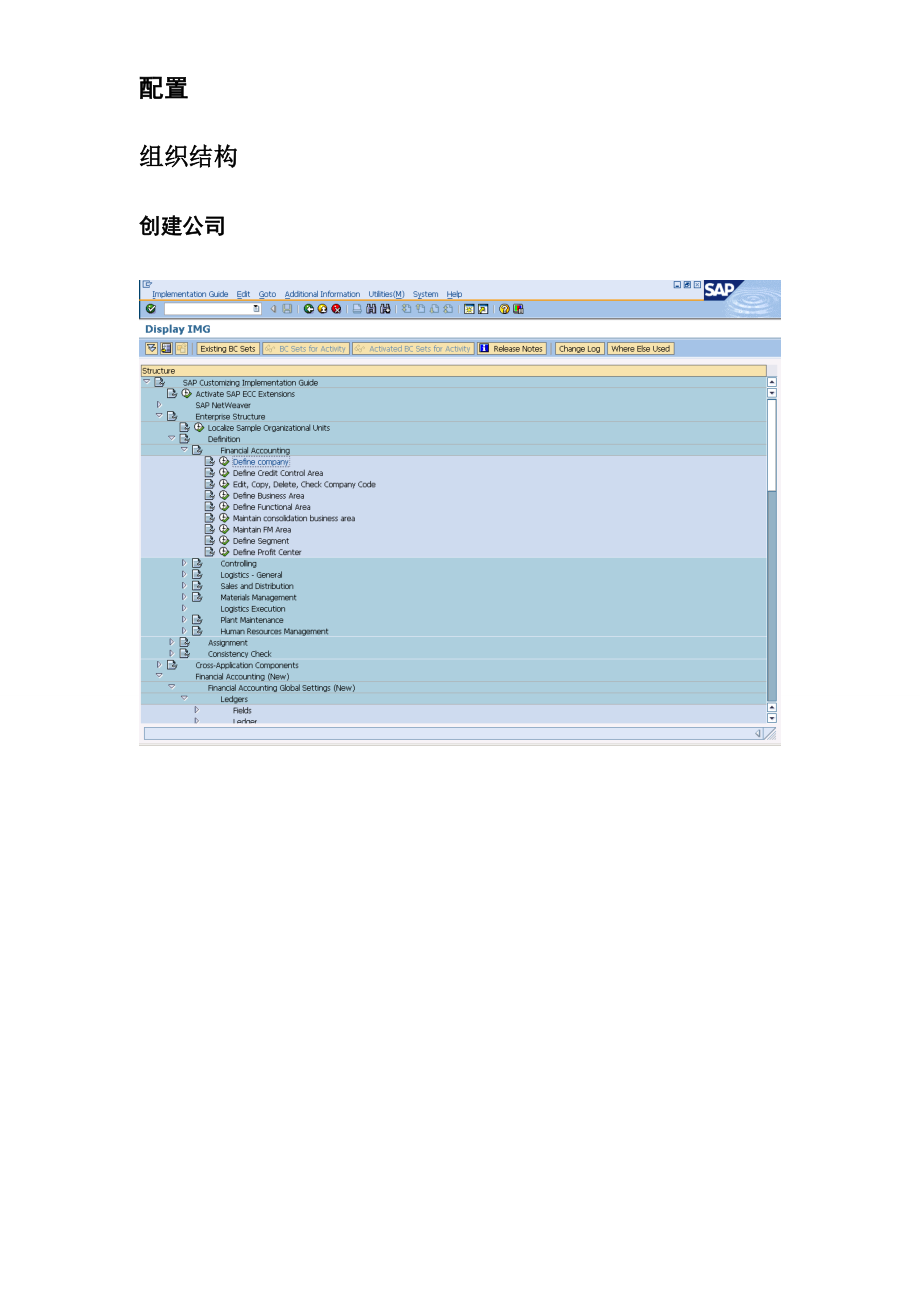 SAP FICO 总账配置及其操作手册.docx_第3页