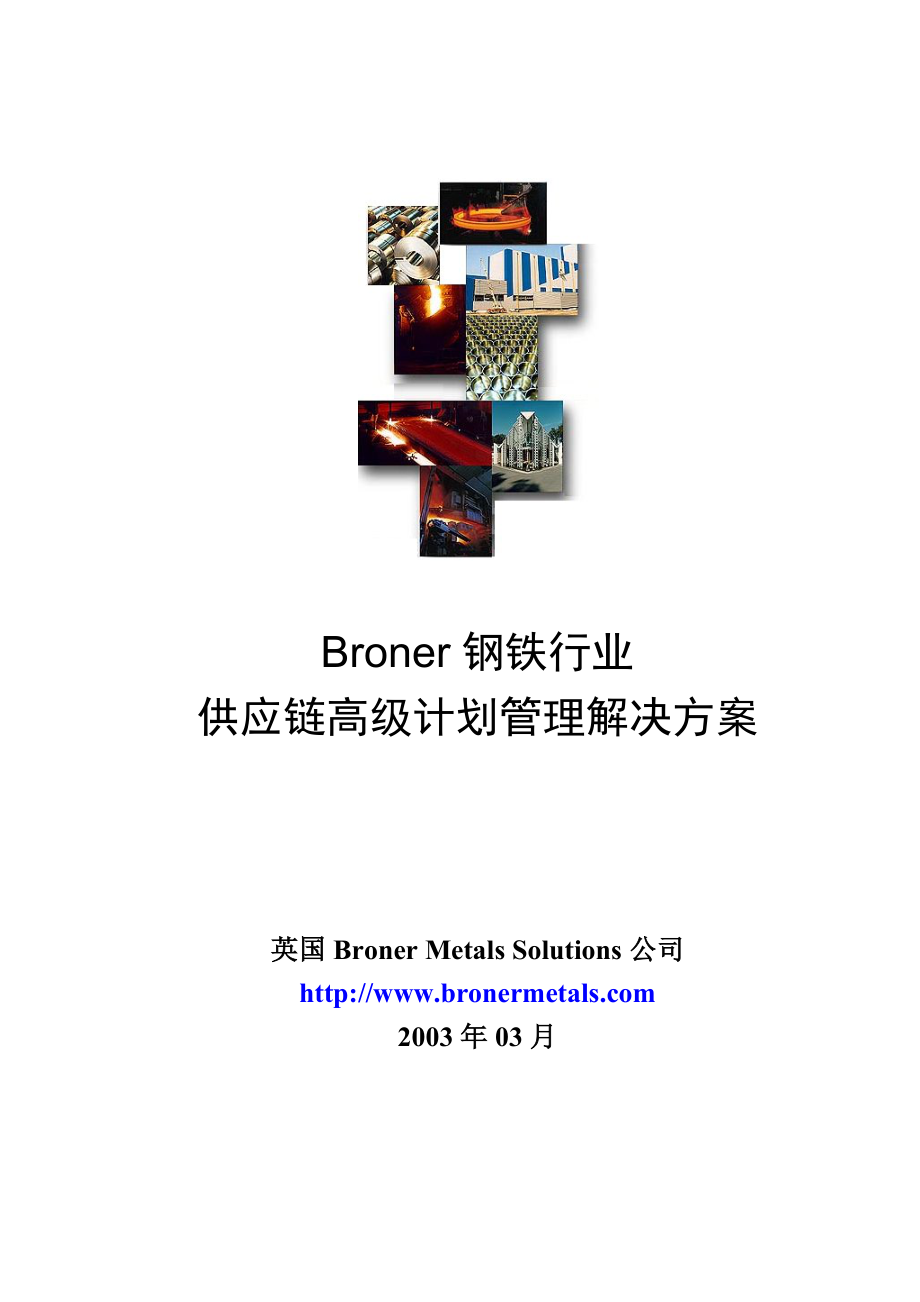 Broner钢铁行业供应链管理解决方案.docx_第1页