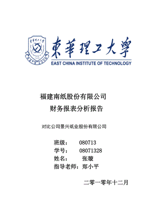 财务报表分析报告之模板2.docx