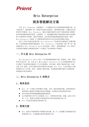 Brio Enterprise商务智能解决方案.docx