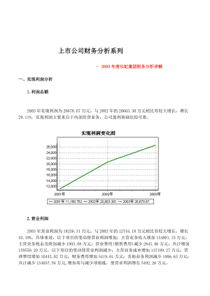 长虹集团财务分析详解.docx