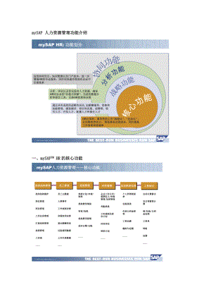 mySAP 人力资源管理功能介绍.docx