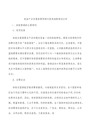 电池产业发展前景预测与投资战略规划分析.docx