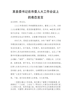 某县委书记在市委人大工作会议上的表态发言.docx