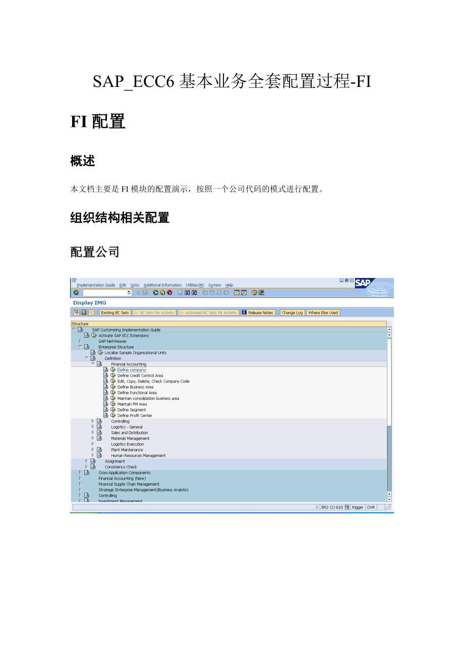 SAP_SP-ECC6基本业务全套配置过程_FI配置-V11-trigger.docx_第1页