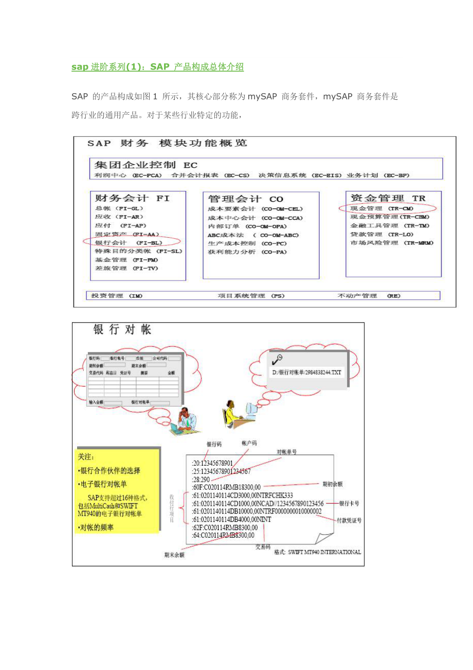 SAP产品构成总体介绍.docx_第1页