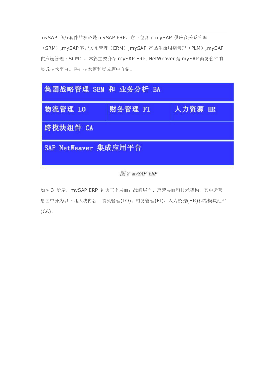 SAP产品构成总体介绍.docx_第2页