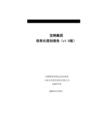 宝钢集团信息化规划项目规划报告.docx