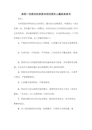 承担一切责任的承诺书项目责任人廉政承诺书.docx