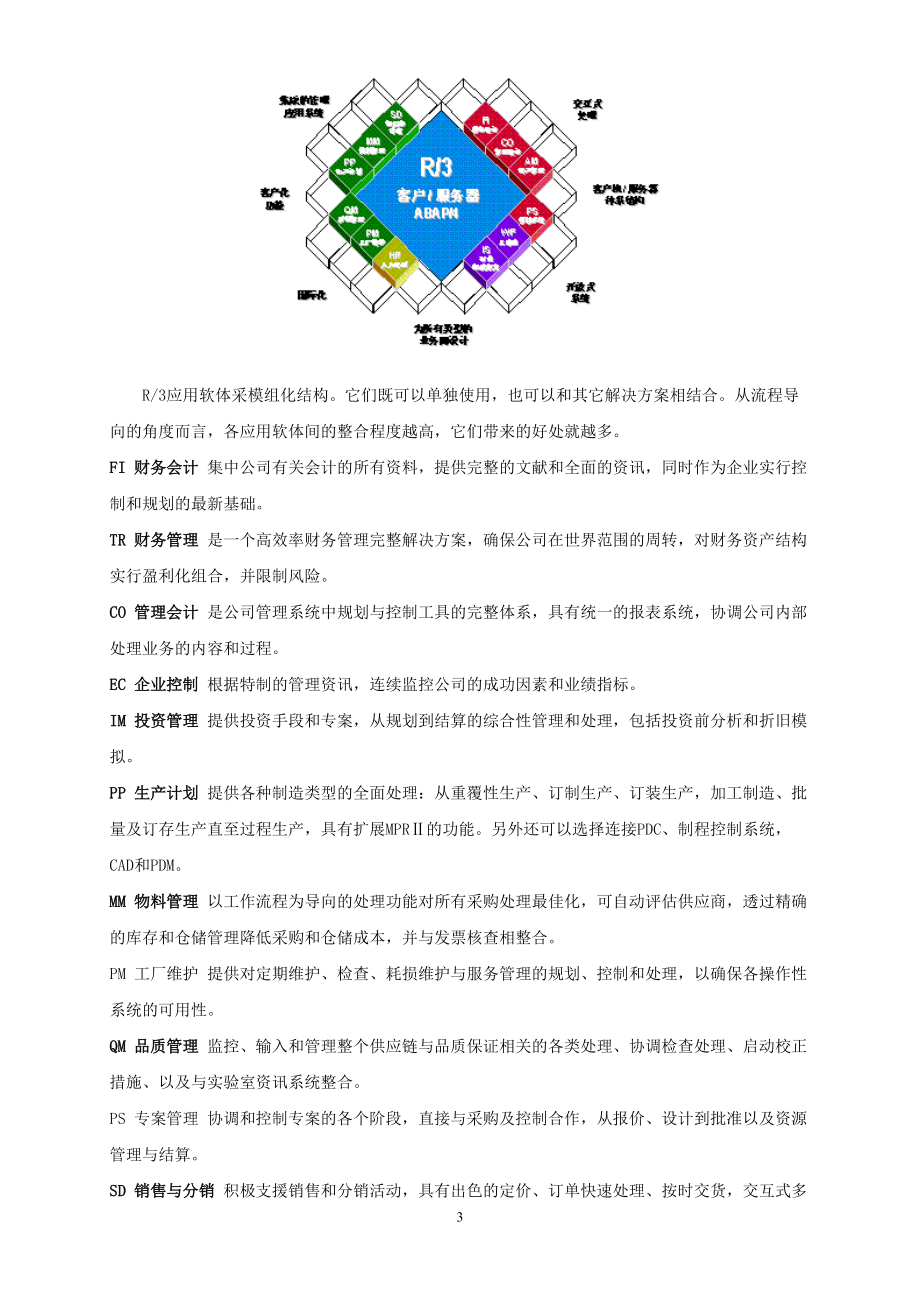 SAP企业资源计划(ERP)资料.docx_第3页