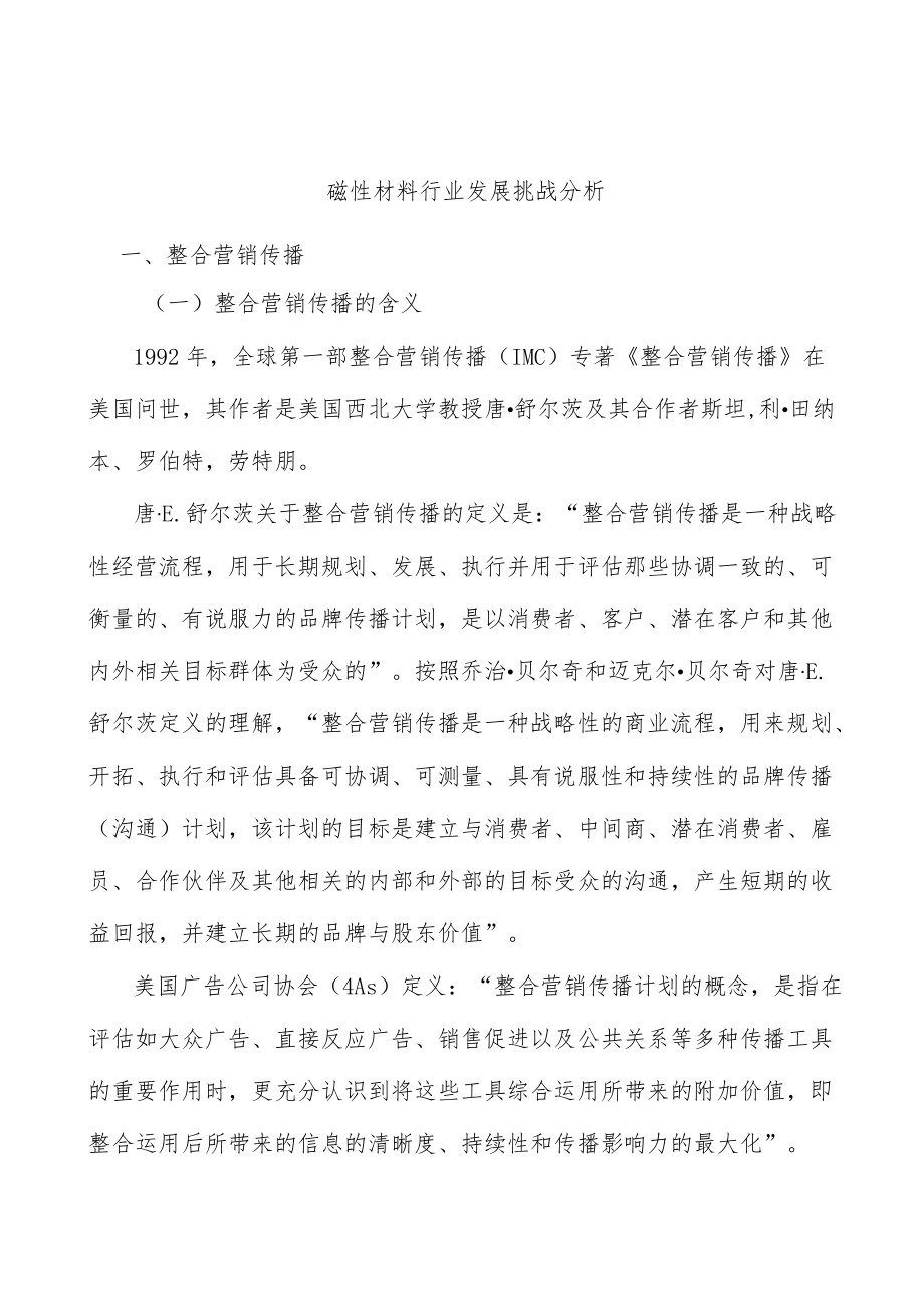 磁性材料行业发展挑战分析.docx_第1页