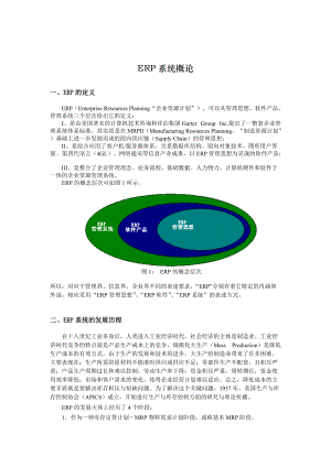 ERP系统的管理概论.docx