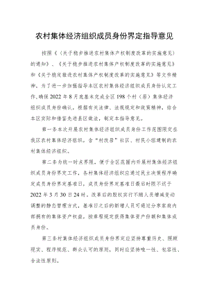 农村集体经济组织成员身份界定指导意见.docx