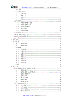 ERP标准实施方案.docx