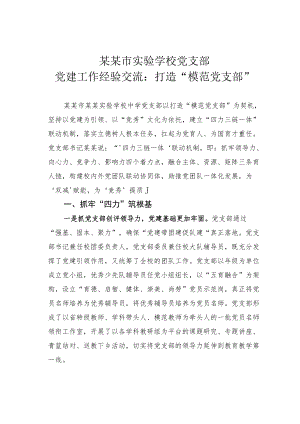 某某市实验学校党支部党建工作经验交流：打造“模范党支部”.docx