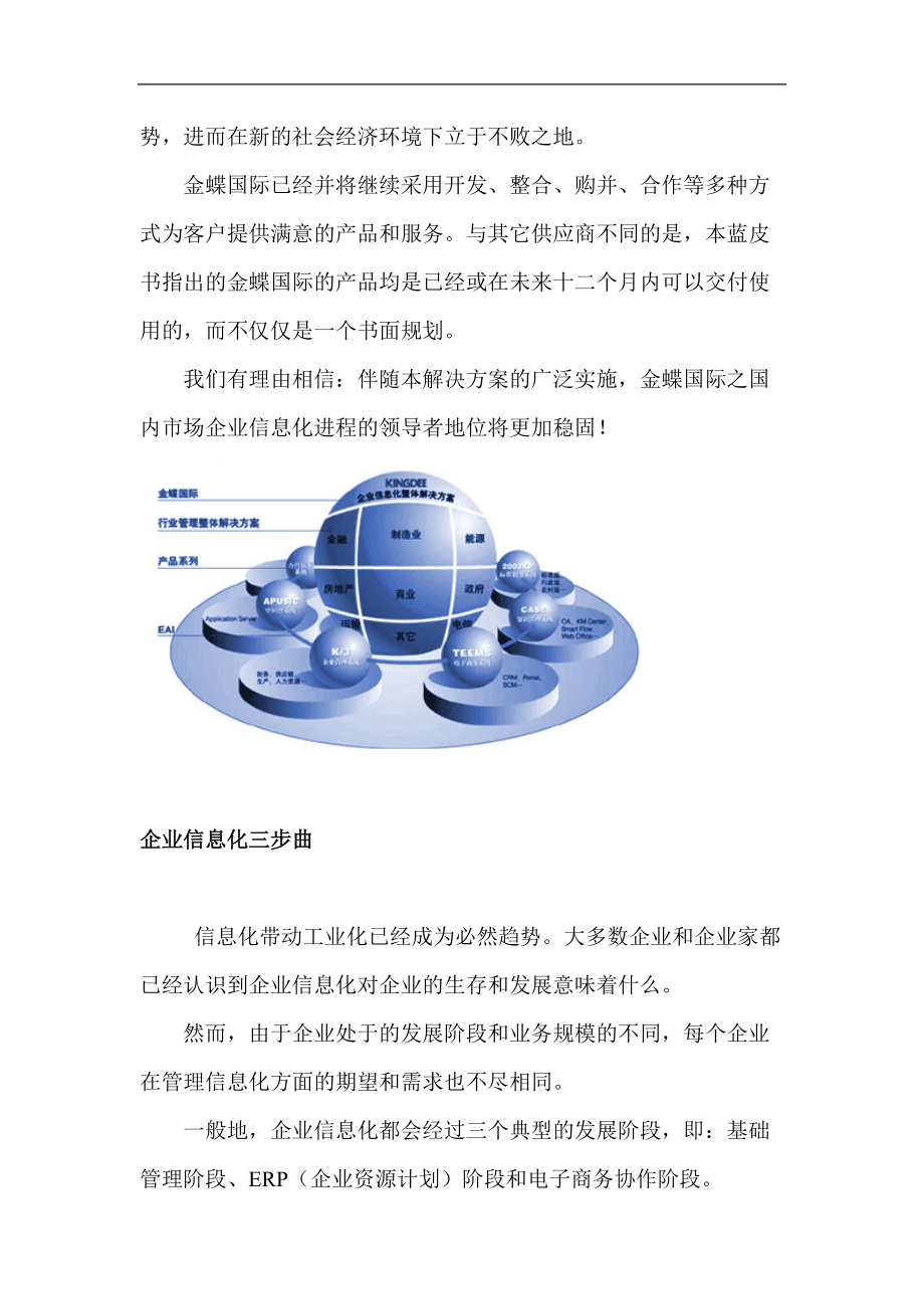 某企业整体信息化解决方案蓝皮书.docx_第2页