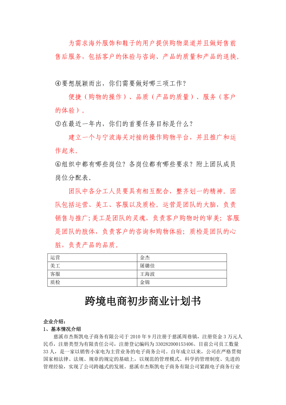 跨境电商初步发展计划.docx_第2页