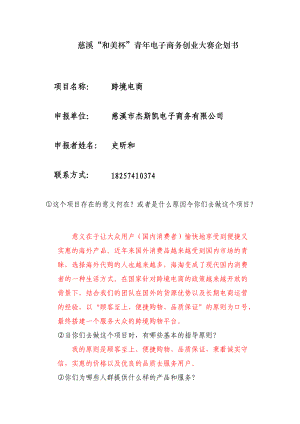 跨境电商初步发展计划.docx