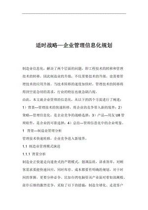 适时战略—企业管理信息化规划.docx