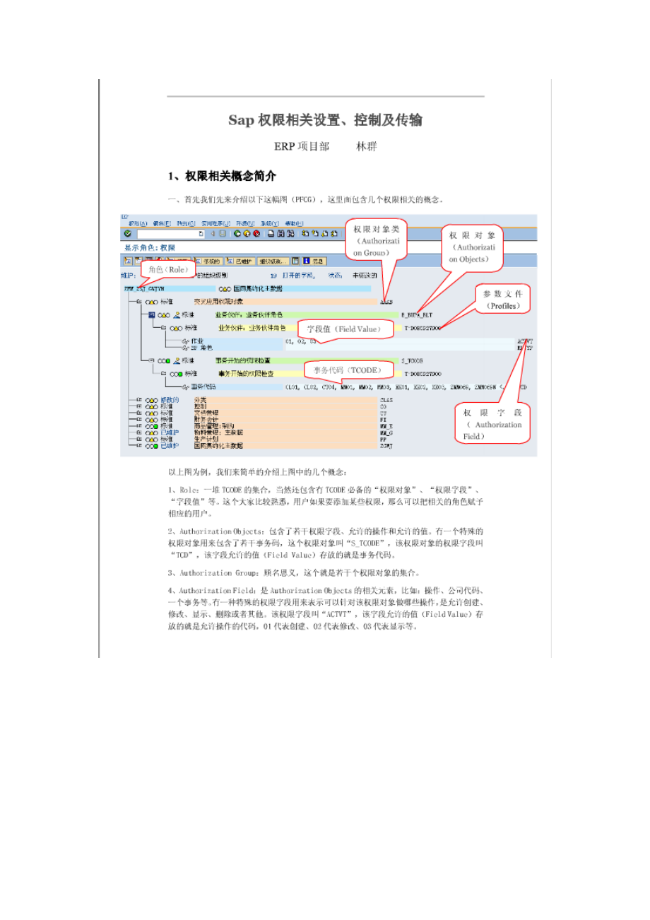 SAP权限设置控制和传输.docx_第1页