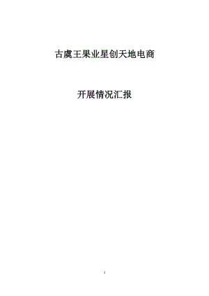 电商典型案例培训资料.docx