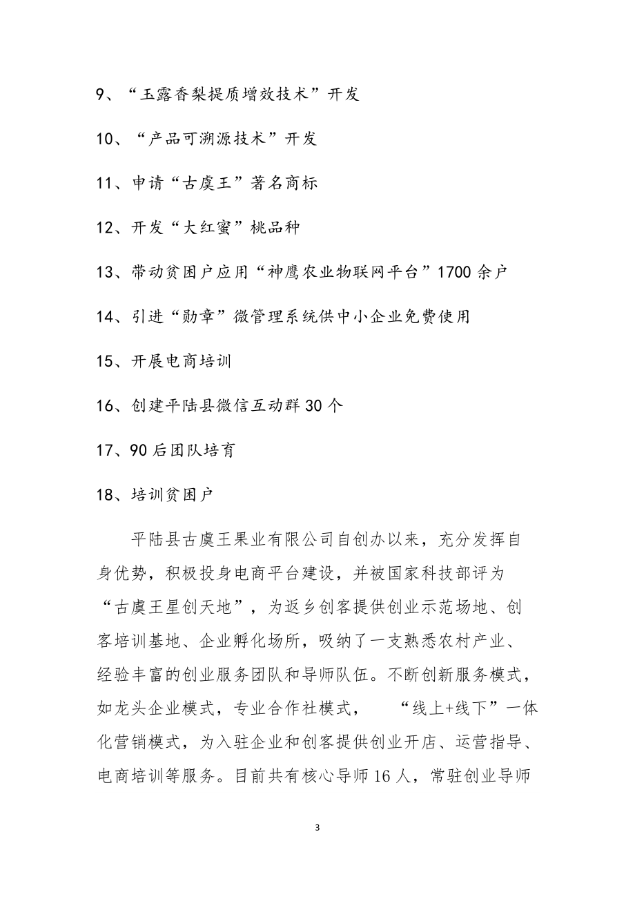 电商典型案例培训资料.docx_第3页