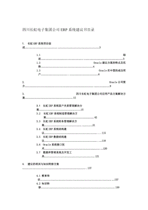 Oracle-长虹-集团公司ERP系统建议书.docx