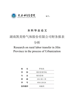 湖南凯美特气体股份有限公司财务报表分析.docx