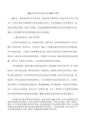 2022年防灾减灾救灾总结2023年谋划.docx