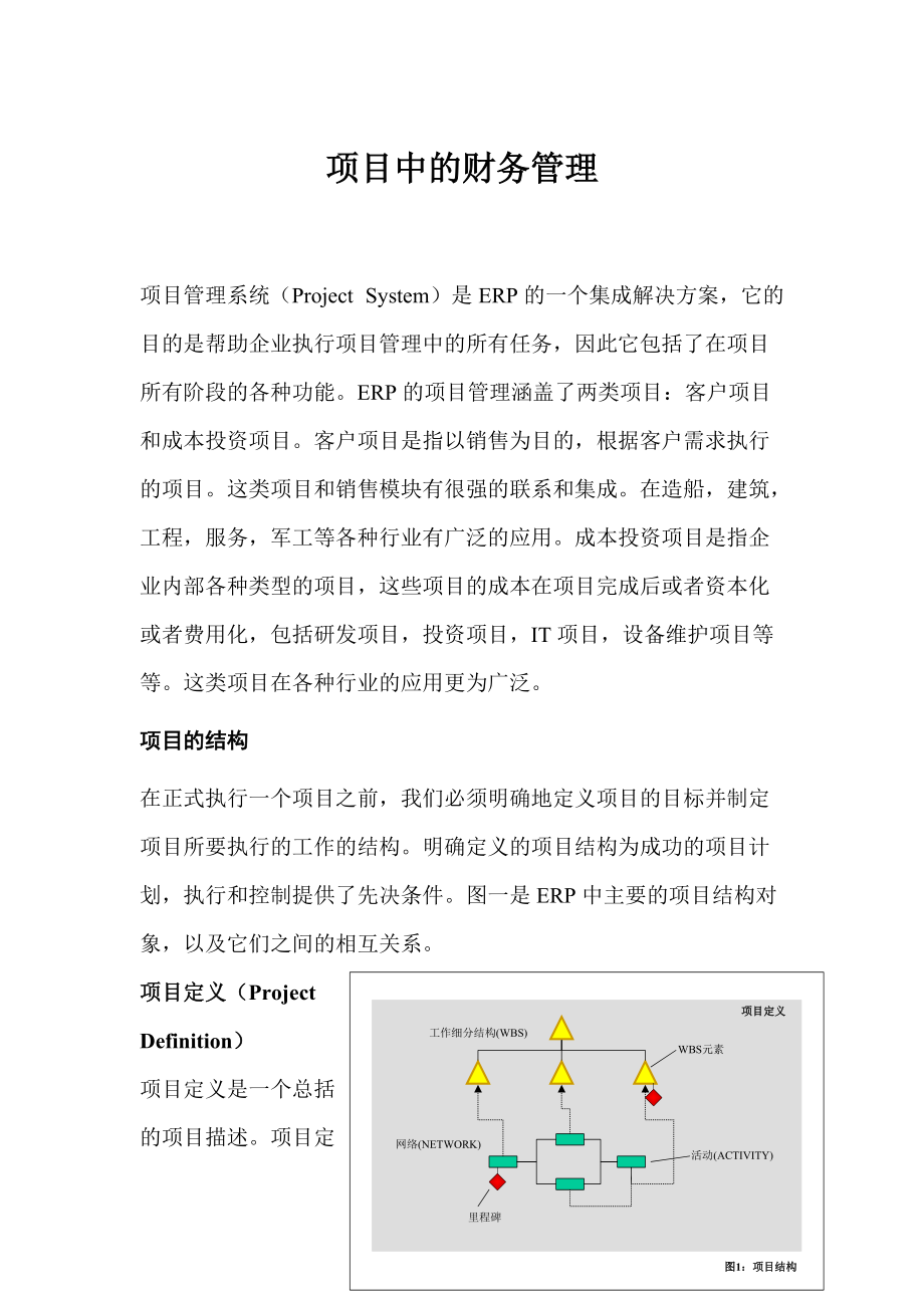 项目中的财务管理分析.docx_第1页